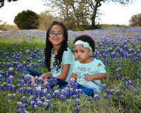 Brown Bluebonnets 2019 small